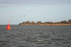 Killikus&reg; Fotographie